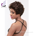 Miss Rola Wholesale Cheap Human Hair Wigs for Black Women, Short Fashion Hair Cuts